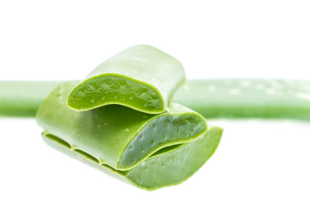 istock aloe vera fresh leaf isolated on white 652739534