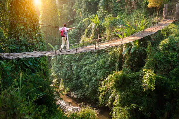 Backpacker on suspension bridge in rainforest