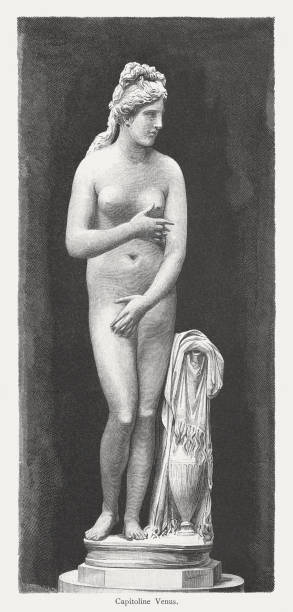 capitoline venus, starożytna rzeźba, grawerowanie drewna, opublikowana w 1884 roku - statue women sculpture italian culture stock illustrations