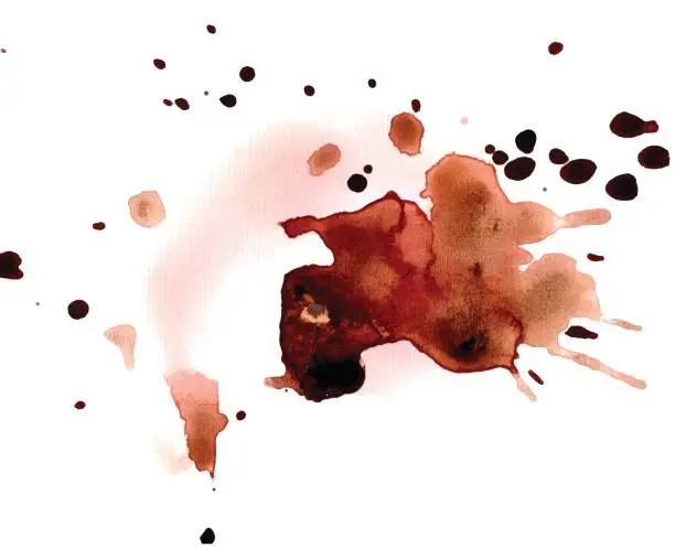 Vector illustration of Coffee stain like a bird