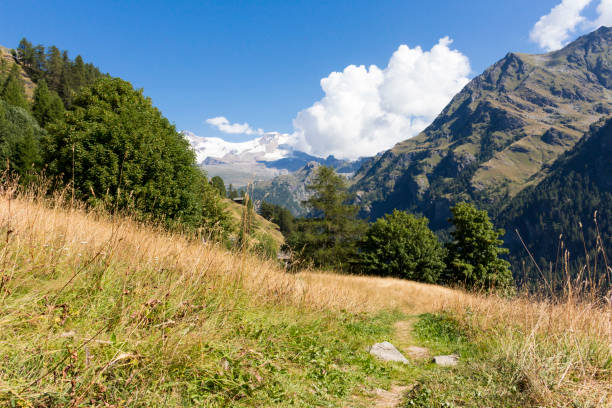 istock Alpine landscape with  mountains and fir trees 652740788