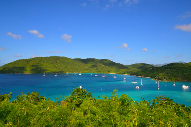 istock St John Maho Bay Marina 652743128