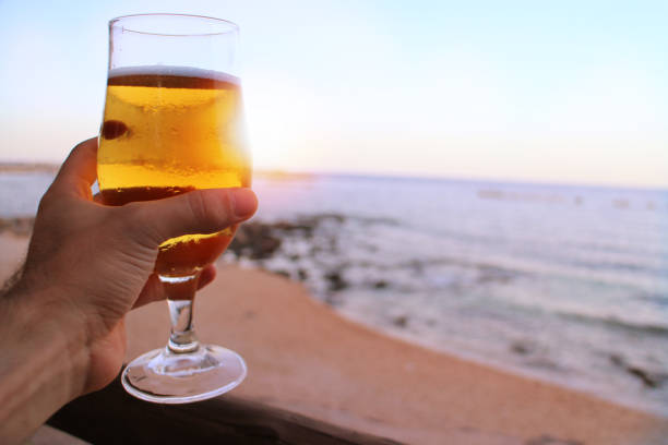 istock drinking beer at sunset in a beach during vacation 652749312