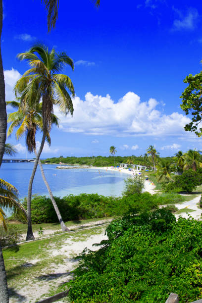 istock bahia honda state park 652750500