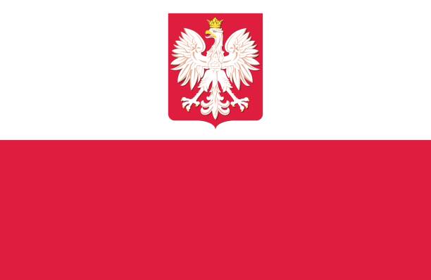 ilustrações, clipart, desenhos animados e ícones de polônia - polish flag