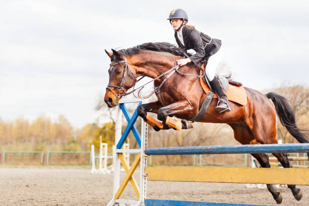 jóvenes sportsgirl a caballo de salto en salto - caballo saltando fotografías e imágenes de stock