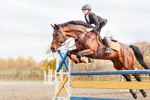 Young horseback sportsgirl jumping on show jumping