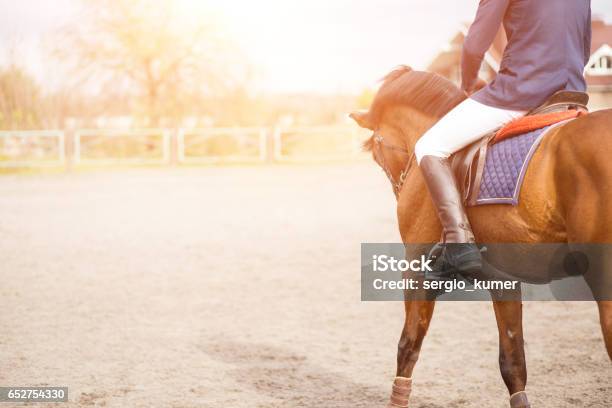 Joven Jinete A Caballo En El Campo Con Espacio De Copia Foto de stock y más banco de imágenes de Caballo - Familia del caballo