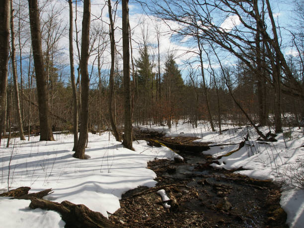 istock Winter in Vermont 652755034