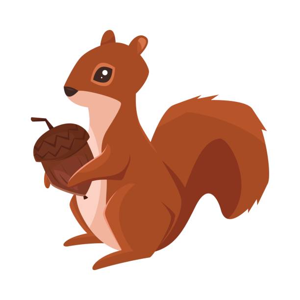 illustrations, cliparts, dessins animés et icônes de illustration de style dessin animé vectorielle d’écureuil avec gland - écureuil