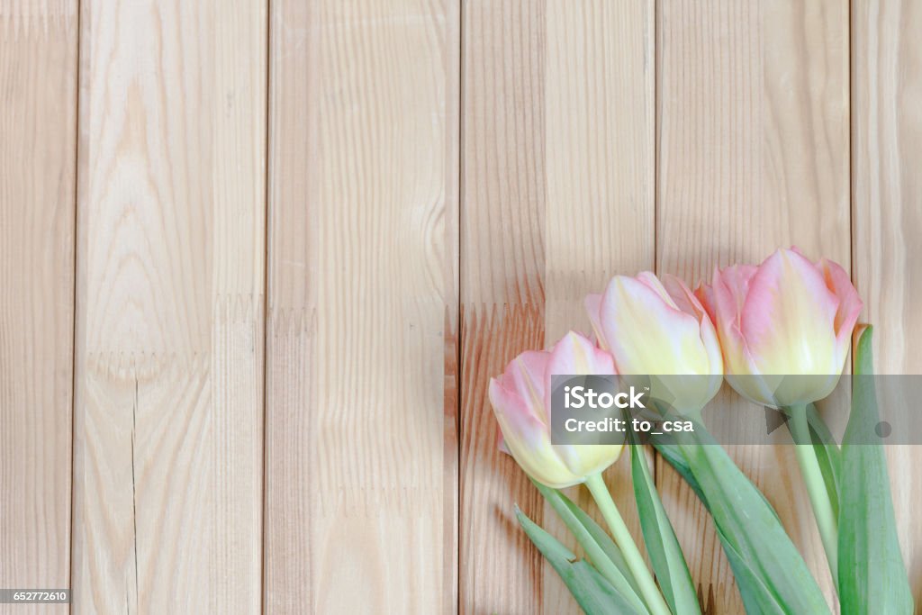 Pink tulips bunch on wooden background Bunch Stock Photo