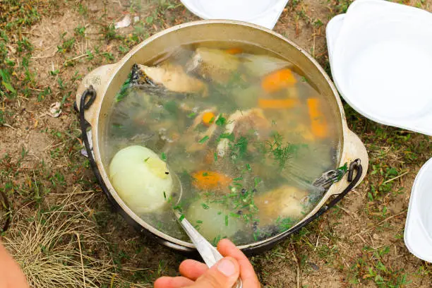 Chowder cooked in nature. Food on the nature.