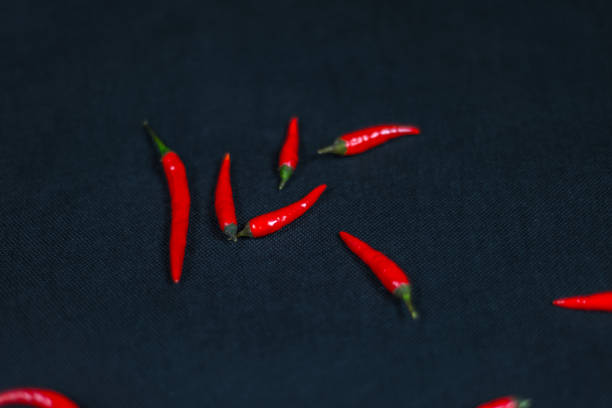 artistic decoration with fresh small red peppers, fresh vegetables, chili peppers, spicy and hot