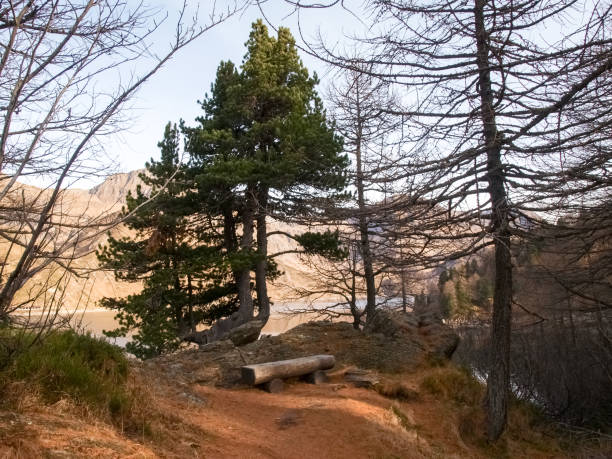 laghi ritom, cadagno, tom in autunno - mount tom foto e immagini stock