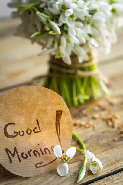 istock a bunch of beautiful delicate snowdrops 652798568