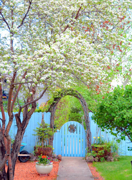 istock Bright spring colors and blue arched garden gate   willow arch 652799182