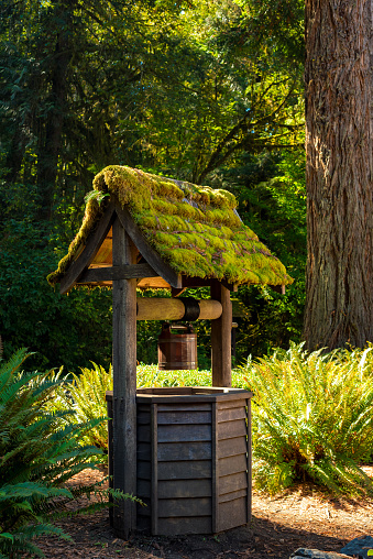 An old, moss-covered wishing well at a lodge in Washingtonâs Olympic National Forest