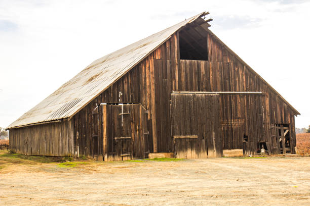 istock Abandoned Wood Barn With Tin roof 652812208