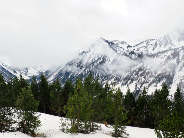 istock View of a snow landscape on a cloudy day. 652812468