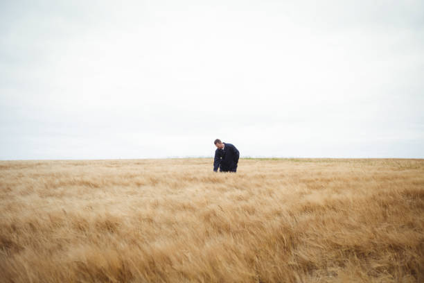 istock Farmer checking his crops in the field 652812474