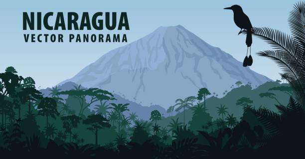 векторная панорама никарагуа с вулкано в джунглях тропических лесов и бирюзовый browed motmot - вулканология stock illustrations