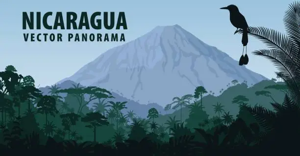 Vector illustration of vector panorama of Nicaragua with vulcano in jungle rainforest and Turquoise browed Motmot