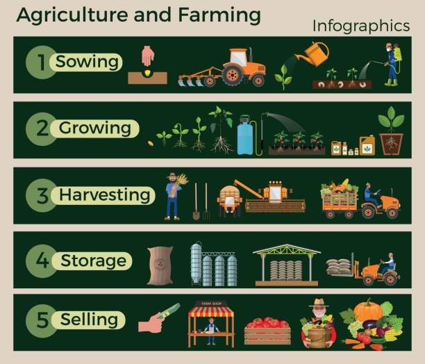 illustrations, cliparts, dessins animés et icônes de agriculture et élevage. - agriculture farm people plow