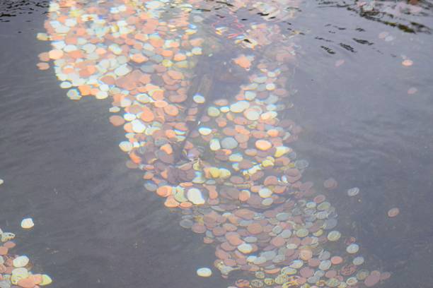 Coins in a fountainSimilar images: