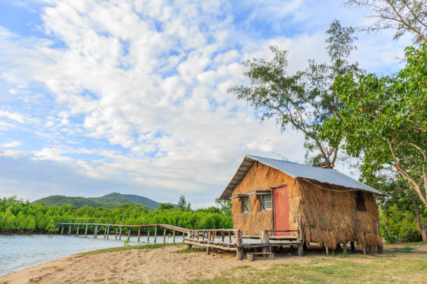 istock thatched cottage and old bridge in mangrove forest 652840268