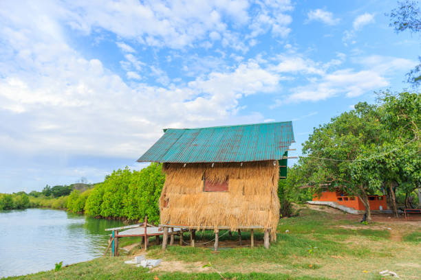 thatched cottage in mangrove forest