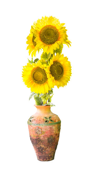 istock Sunflower in vase isolated 652842812