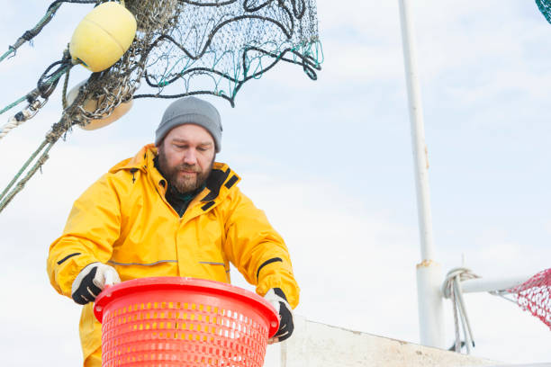 istock Man working on commercial shrimp boat carrying basket 652843656