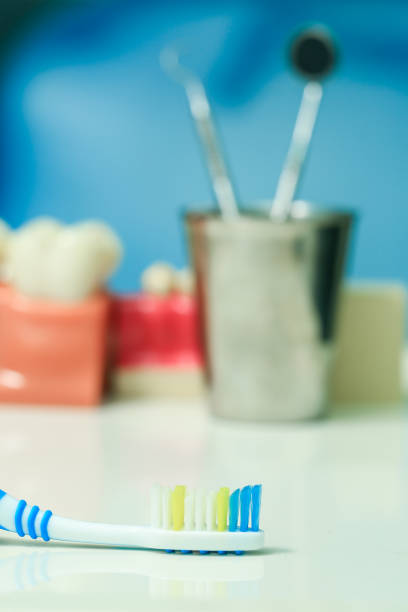 istock Clean teeth denture, dental jaw model, mirror and dentistry instruments 652867126