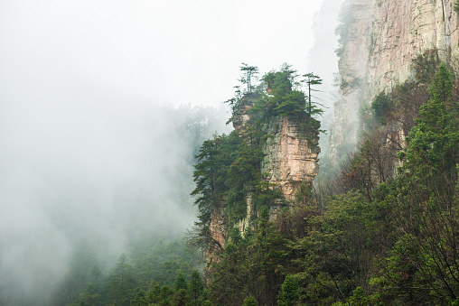 mountains are surrounded by clouds at Zhangjiajie, a national park in China known for its surreal scenery of rock formations.