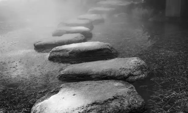 Photo of stepping stones