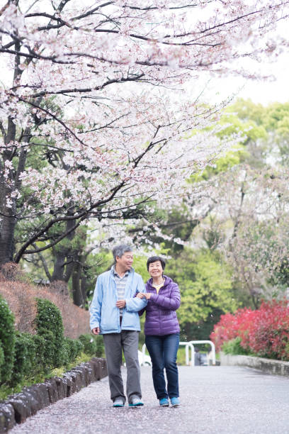 istock Old couple walk in park 652895756