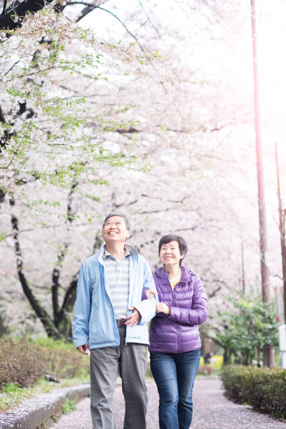 istock Old couple walk in park 652895820