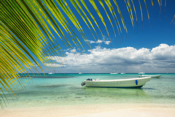 istock Beautiful Caribbean sea, panoramic view from the beach 652899742