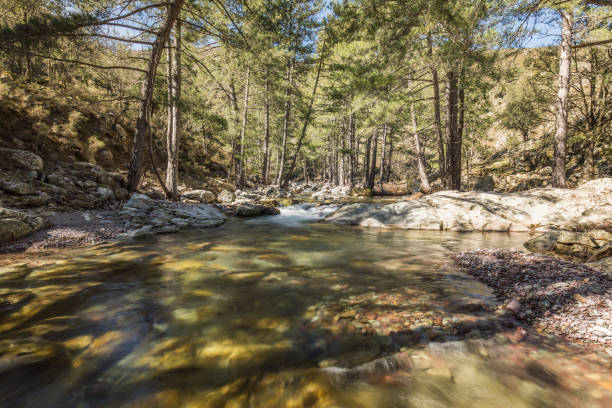 istock Tartagine river flows over colourful pebbles in Corsica 652903852