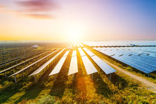 Photovoltaic modules reflect sunset light and clouds