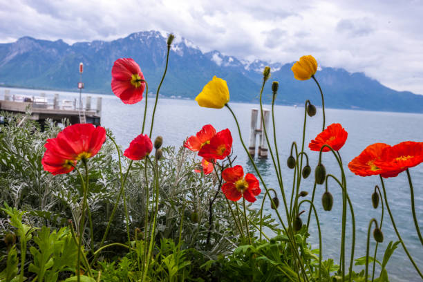 Springtime in Montreux, Switzerland