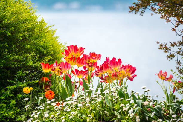 Montreux springtime, Switzerland