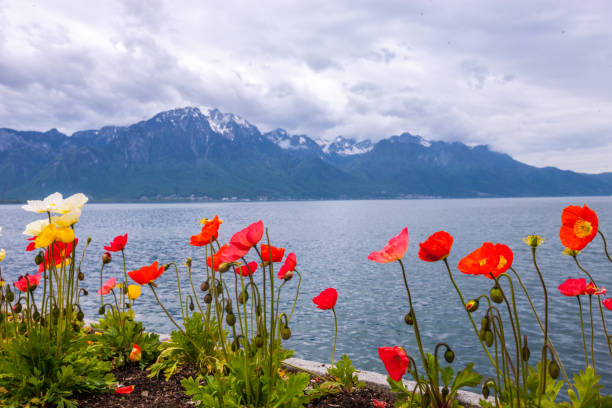 Springtime in Montreux, Switzerland