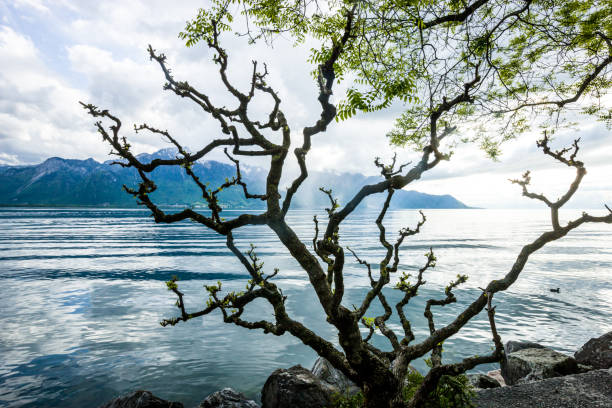 Springtime in Montreux, Switzerland