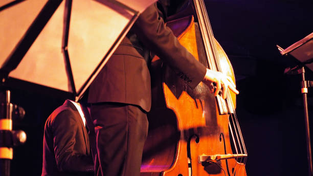 istock Double bass player on the stage 652928238