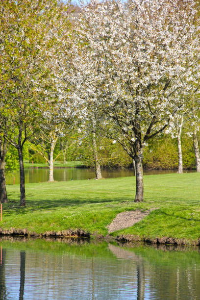 istock Golf course in Saint Saens, France 652932284