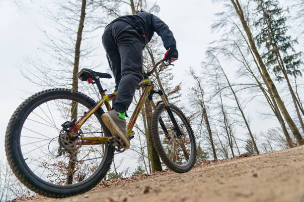 istock Mountain biker in the woods 652932326