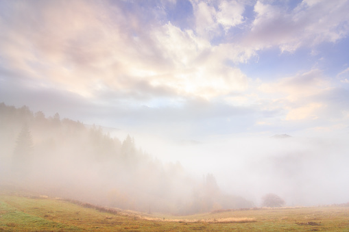 Autumn landscape with fog in the mountains. Fir forest on the hills. Carpathians, Ukraine, EuropeAutumn landscape with fog in the mountains. Fir forest on the hills. Carpathians, Ukraine, Europe