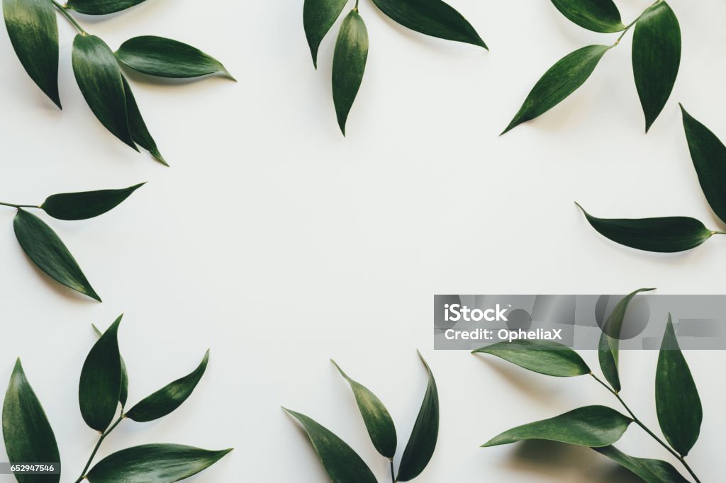 Rahmen mit grünen Blättern - Lizenzfrei Blatt - Pflanzenbestandteile Stock-Foto