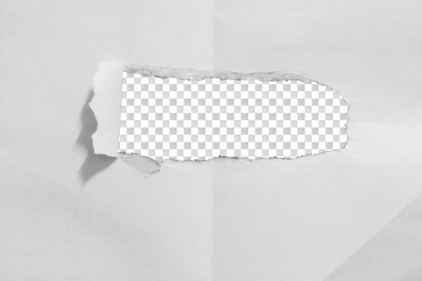 istock Torn pieces of paper 652948974
